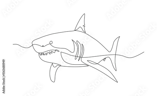 Continuous line of great white shark fish underwater sea ocean marine wildlife animal sketch drawing editable stroke vector illustration