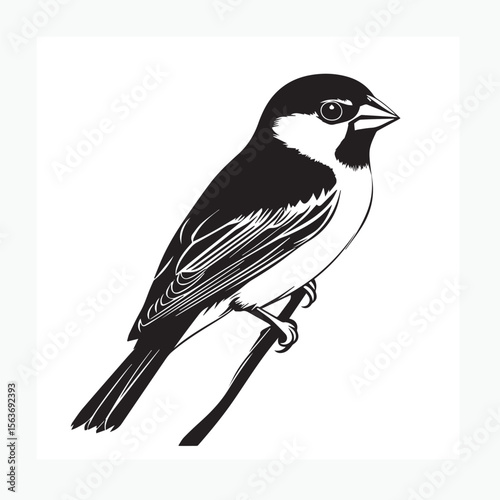 bird on a branch
