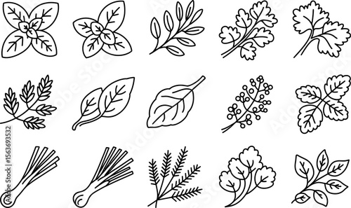 Black and White Herb and Spice Line Drawings on White Background