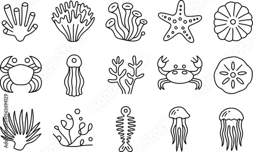 Black outline illustrations of various sea creatures and coral on white background