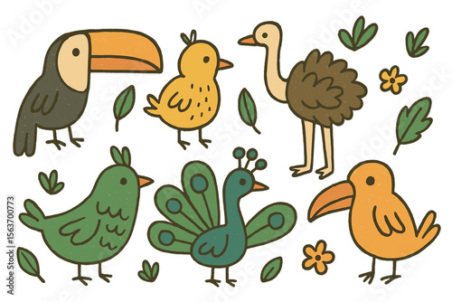 Colorful hand-drawn birds including toucan, peacock, and ostrich in a whimsical style with leaves and flowers