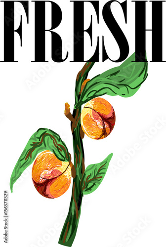 Fresh – brzoskwinia