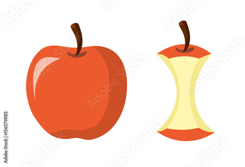 Full apple and apple core isolated on white background. Vector stock