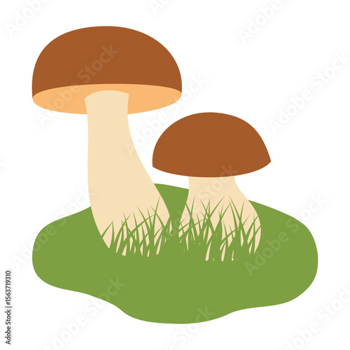 Two mushrooms with green grass isolated on white background. Flat vector illustration.