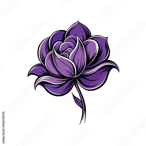 abstract violets flower vector illustration on white background