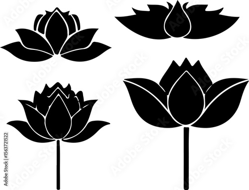 Water Lily Silhouette Vector Set, Water Lily Outline Vector Art, Water Lily Flower Silhouette Collection, Set of Water Lily Vector Illustrations, Botanical Water Lily Silhouette Set, Minimalist Water 