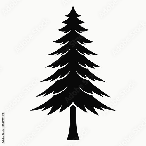 Black silhouette of a tall evergreen fir tree on a white background