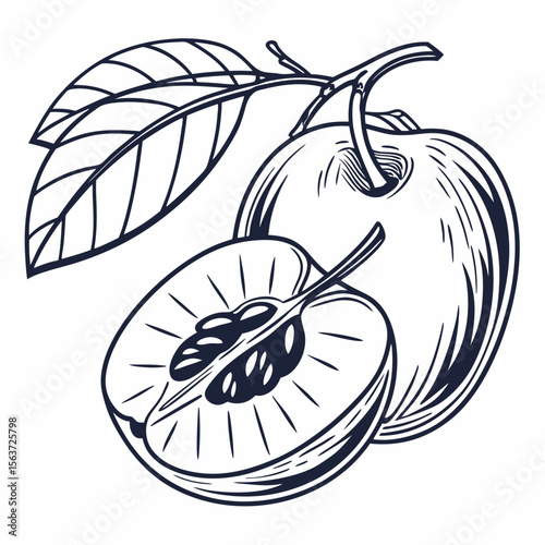 Antioxidant Fruit Outline Vector | Linocut Silhouette & Generative AI Art