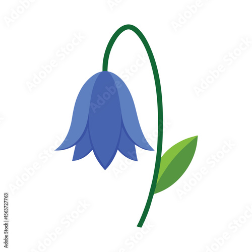Graceful bluebell flower with hanging bell shaped blossoms perfect for woodland designs Vector illustration on white background
