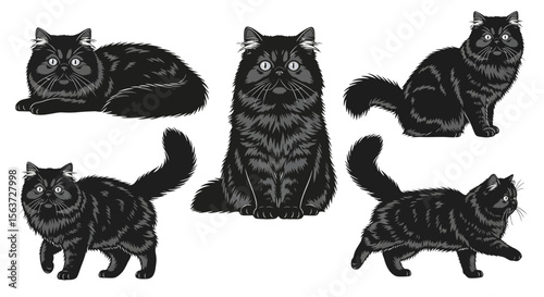 Black cat illustrations in various poses and expressions  