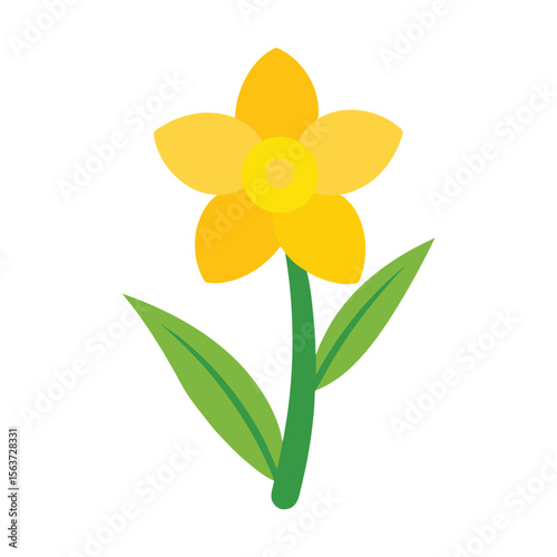 Radiant daffodil flower with trumpet shaped center and spring flair for seasonal designs Vector illustration on white background