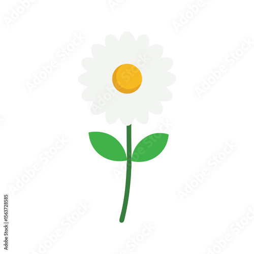 Charming feverfew flower with dainty petals and yellow center perfect for herbal artwork Vector illustration on white background
