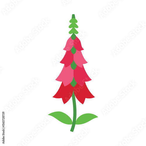 Elegant foxglove flower with bell shaped blooms on tall stems for cottage garden themes Vector illustration on white background
