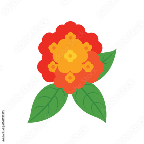 Colorful lantana flower with clustered blooms in gradient hues for vibrant garden art Vector illustration on white background