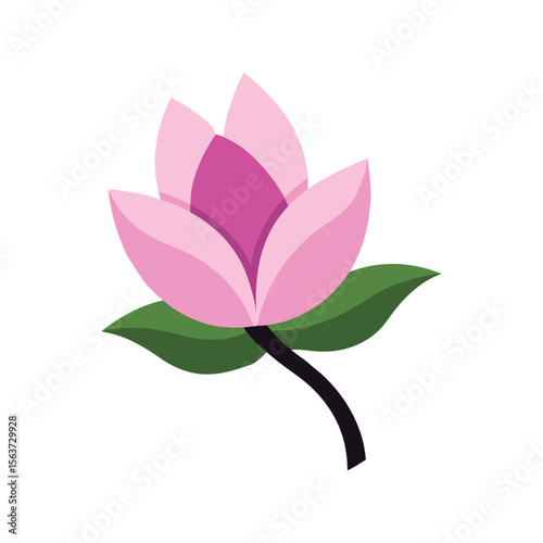 Graceful magnolia flower with large creamy petals and southern elegance for design use Vector illustration on white background