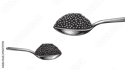 Spoon holding caviar engraved in solid bold black and white vintage line drawing