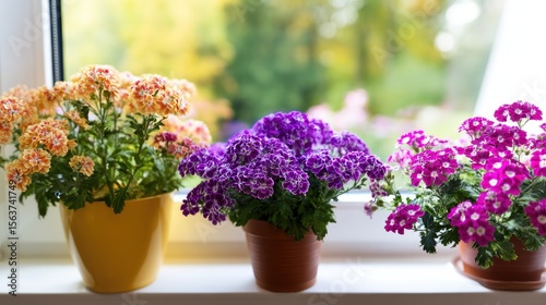 Wallpaper Mural Colorful flowers in pots on a shelf, macro photography, with purple and orange colors Torontodigital.ca