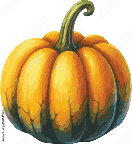 Vector watercolor painted illustration of an acorn squash