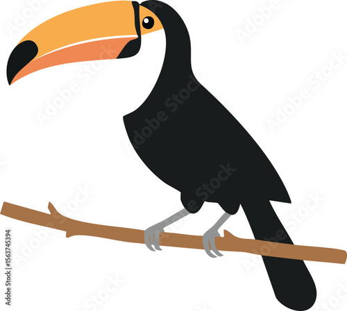 Tropical toucan bird with a colorful beak on a branch against a white background