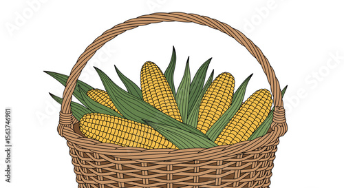 Freshly Harvested Sweet Corn Kernels Ready for Delicious Summer Meals and Grilling Adventures