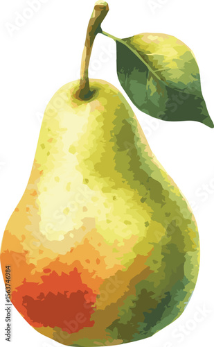Vector watercolor painted illustration of a pear