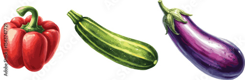 Collection of vector watercolor paninted bell peper, eggplant, zuchini