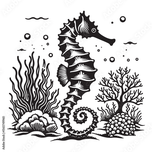 Seahorse swimming among coral reefs on the ocean floor vector image.