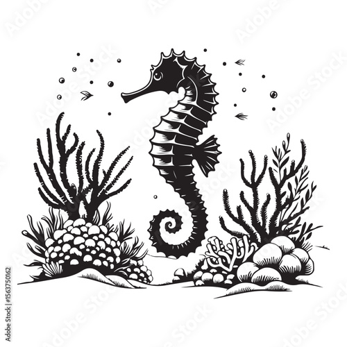 Seahorse swimming among coral reefs on the ocean floor vector image.