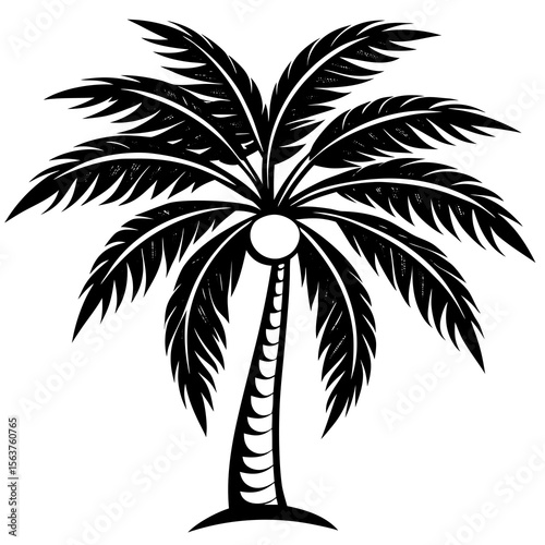 palm tree silhouette