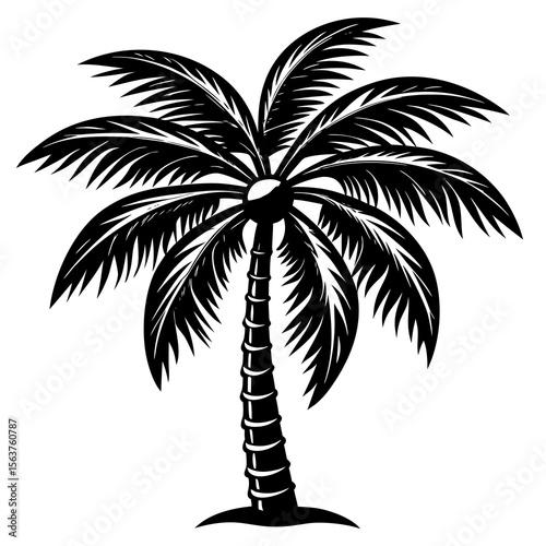 palm tree silhouette
