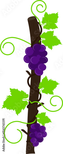 Grapevine with log of wood