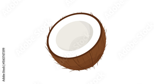 coconut on white background