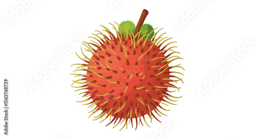 rambutan on white background