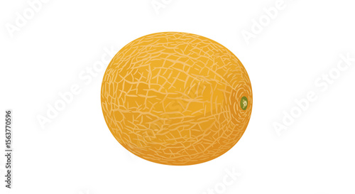melon on white background