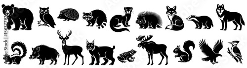 Forest wild animals including bear, owl, raccoon, fox, deer, moose, and more in vector silhouette style, perfect for nature-themed, educational, wildlife, and environmental awareness designs