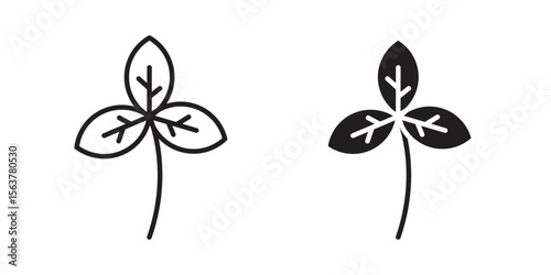 Basil icon. Flat and stroke versions. Graphic elements.