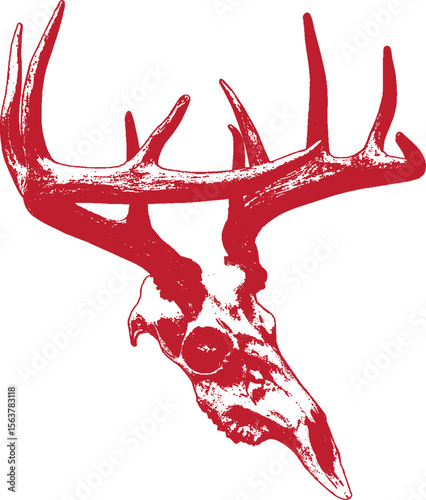 Red deer skull hand drawn illustration vintage. Craneo de venado. SVG