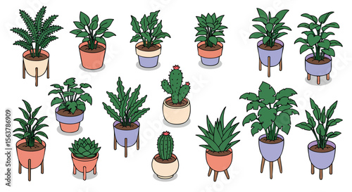 Vibrant Assortment of Cartoon Potted Houseplants, Cacti, and Succulents in Modern Planters