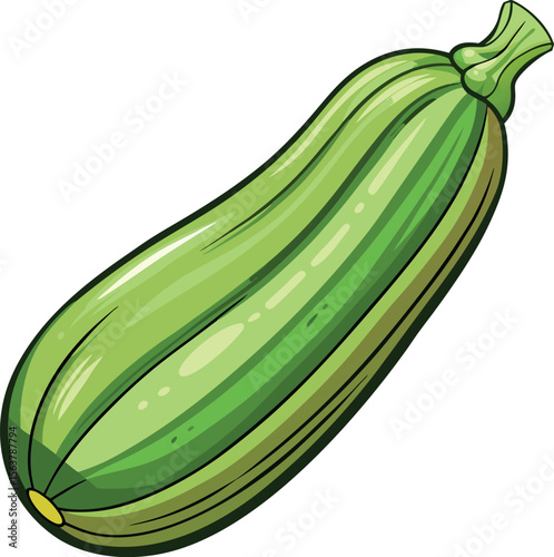 vector illustration of zucchini