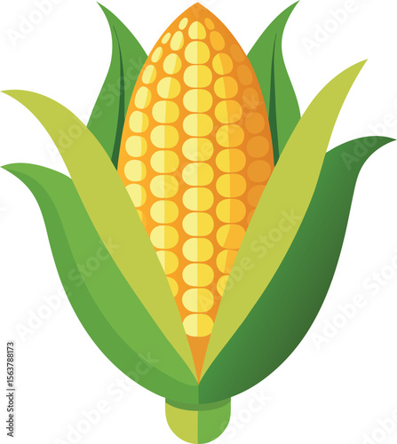 corn on cob flat illustration .