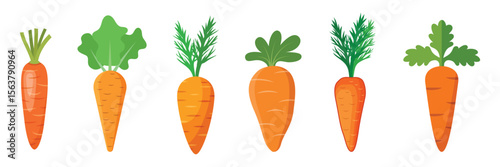 Carrot vegetable icon set collection in flat style. Healthy food vector illustration on isolated background. Natural meal sign business concept.