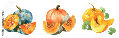 Watercolor pumpkin harvest set. Watercolor whole and sliced ​​pumpkin with seeds and leaves. Autumn harvest. Elements of autumn, Halloween, Thanksgiving, etc. Farm and village harvest.