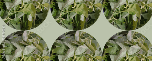Artistic Spinach Leaves Pattern in Circular Frame Design
