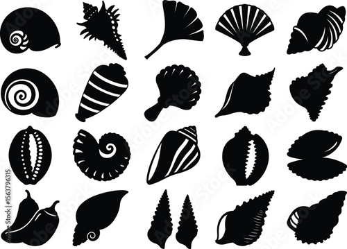 Black Silhouettes of Different Seashells for Graphic Design and Illustration