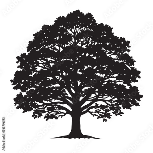 Silhouette of a majestic oak tree vector