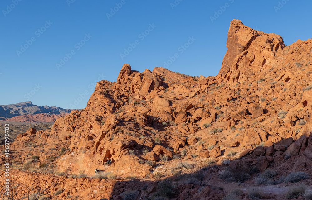 Fototapeta premium Scenic Desert Landscape in the Valley of Fire State Park Nevada