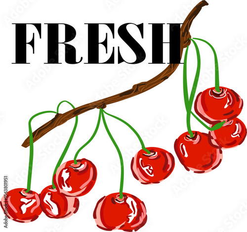 Fresh – czereśnia