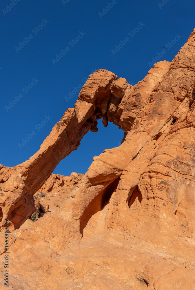 Fototapeta premium Scenic Desert Landscape in the Valley of Fire State Park Nevada