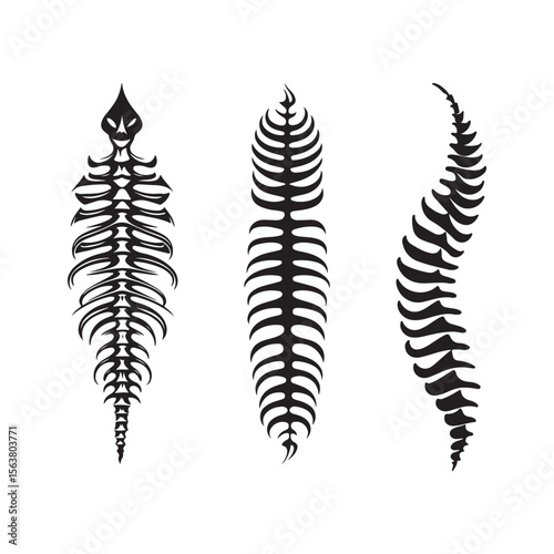 Stylized black and white vector illustration of spinal bone designs, artistic and tribal spine motifs suitable for decorative elements.