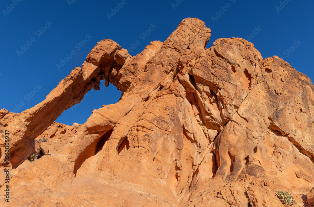 Fototapeta premium Scenic Desert Landscape in the Valley of Fire State Park Nevada